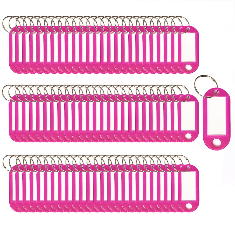 SagaSave Key Tags 100 Pieces Keyring Tags Key Labels Plastic Key Fobs Id Tags Key Rings Name Tags Luggage Id Labels With Labels Split Ring Keyring (Rose Red)