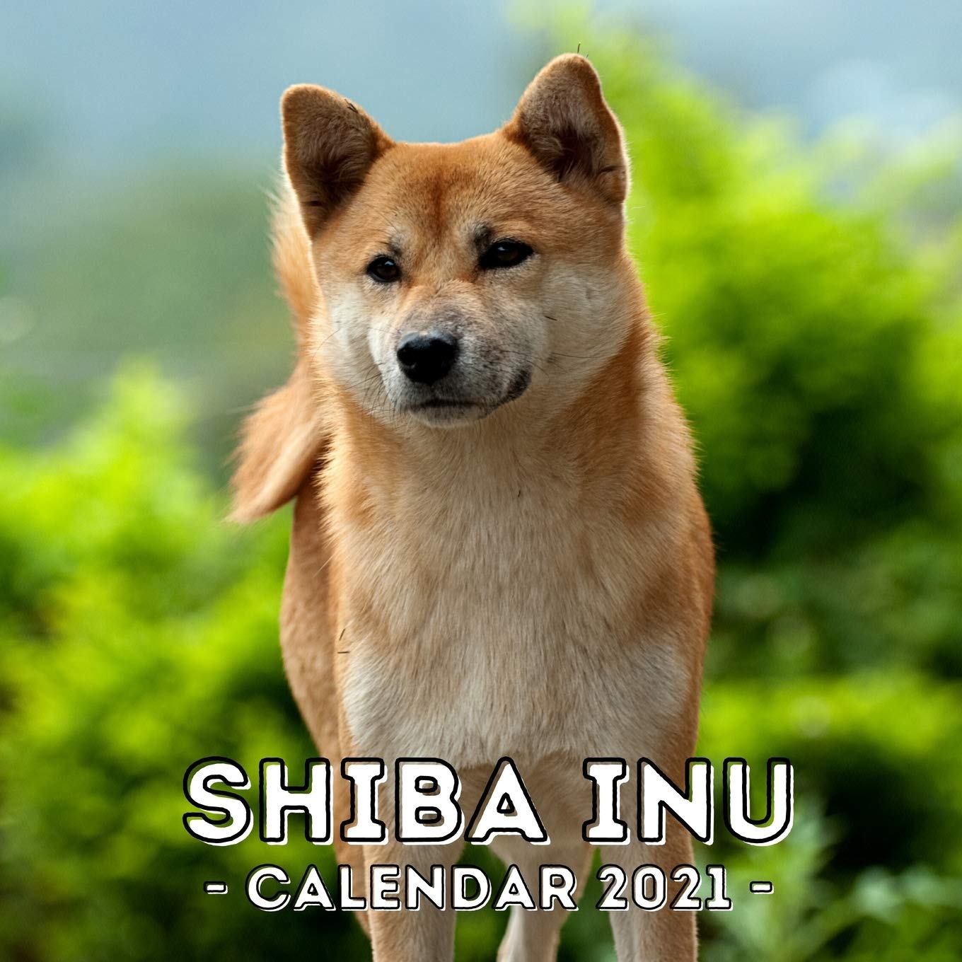 Shiba Inu 21 Calendar Cute Gift Idea For Shiba Inu Lovers Or Owners Men And Women Press Odd Afternoon Amazon Com Books