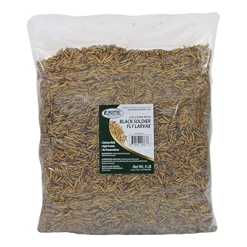 Euchirus Dried Black Soldier Fly Larvae – 2lb Bulk Reptile Food Treat For Bearded Dragons - View #2