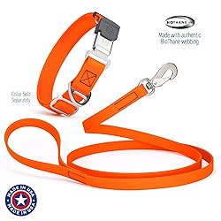 Randstark Biothane Waterproof Durable Dog Leash