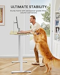 ErGear Height Adjustable Electric Standing Desk, 55