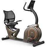 Niceday Recumbent Exercise Bike, Indoor Recumbent