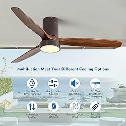 CACI Mall Low Profile Ceiling Fan with Lights, 52