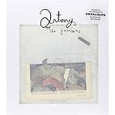 Antony and the Johnsons: Swanlights