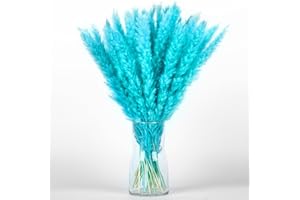 Blue Pampas Grass Bouquet 30PCS XMFAYUAN,Reed Grass,Dried Flowers,Colorful Pampas Grass Dried Plant for Home Decor and Gifting (Turquoise,Teal)
