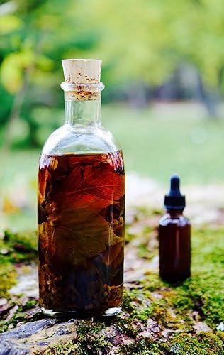 Dr Sebi PAO Pereira Bark Tincture/Imported from South  American/Geissospermum vellosii Tincture -1 fl oz (2 fl oz) in Saudi Arabia  | Whizz Multiple Vitamin-Mineral Supplements