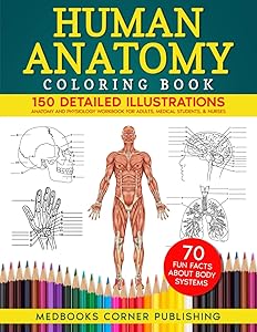 kindle best category lists