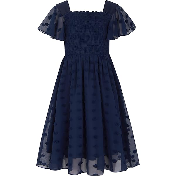 Amazon.com: Bonnie Jean Iris and Ivy Baby Girl's Holiday Christmas Dress,  Navy, 4: Clothing, Shoes & Jewelry