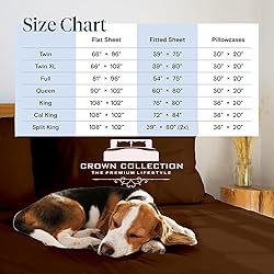 600 Thread Count 100% Cotton Sheet Expanded Queen