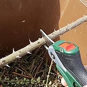 Bosch elektrische Gartenschere EasyPrune (integrierter 3,6