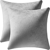 DEZENE Throw Pillow Covers 20x20 Light-Grey: Pack of 2 Cozy Soft Velvet Square Modern Luxury Decorative Throw Pillow Cases for Sofa Couch Living Room Bed Home Decor