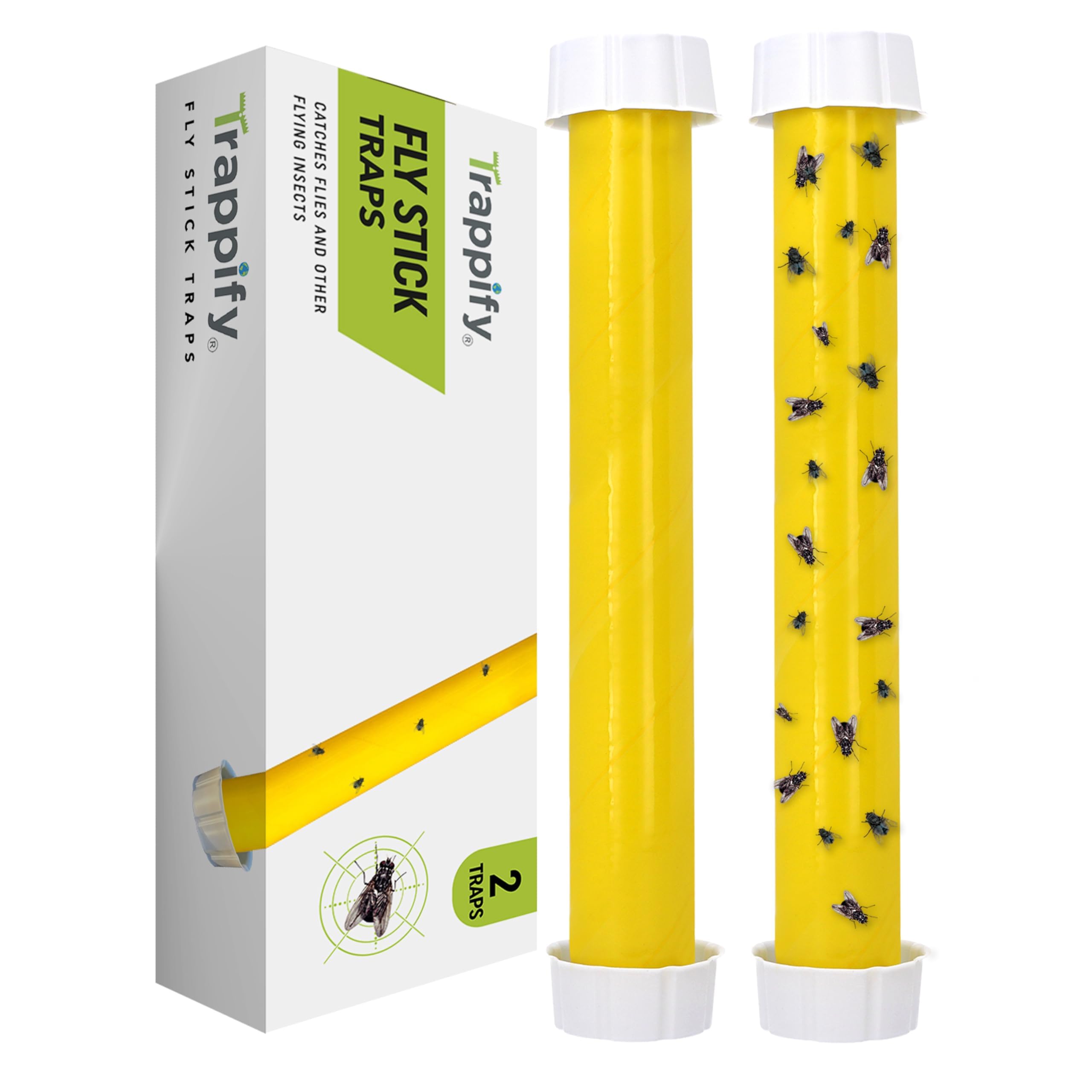 Trappify Hanging Fly Traps Outdoor: Fruit Fly Traps for Indoors | Fly Catcher, Gnat, Mosquito, & Flying Insect Catchers for Inside Home - Disposable Sticky Fly Trap for Indoor House Pest Control