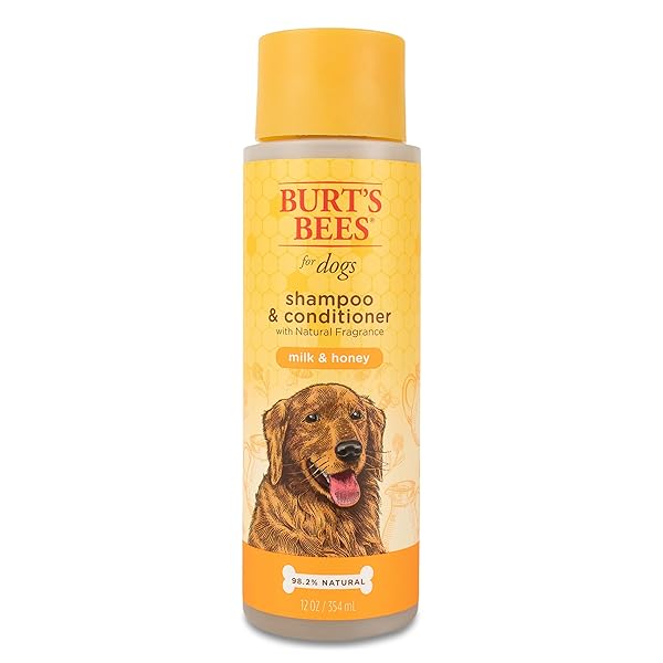 BURT’S BEES FOR PETS SHAMPOO AND CONDITIONER WITH MILK AND HONEY, 98.2% NATURAL ORIGIN FORMULAS, DOG SHAMPOO PLUS CONDITIONER, GENTLE DOG CONDITIONER, BEST DOG CONDITIONER FOR ITCHY DOGS, 12 OZ