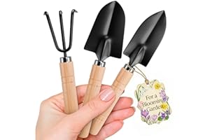 Mini Garden Tools Set - 3 Pcs Indoor Gardening Tools Small Trowel Garden Tool Set Mini Shovel Garden Hand Rake - Indoor Plant