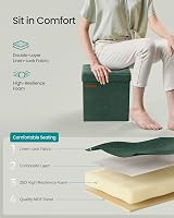 SONGMICS Storage Ottoman Foldable 30x30 cm Foot Rest with 22 L Storage Green view 5