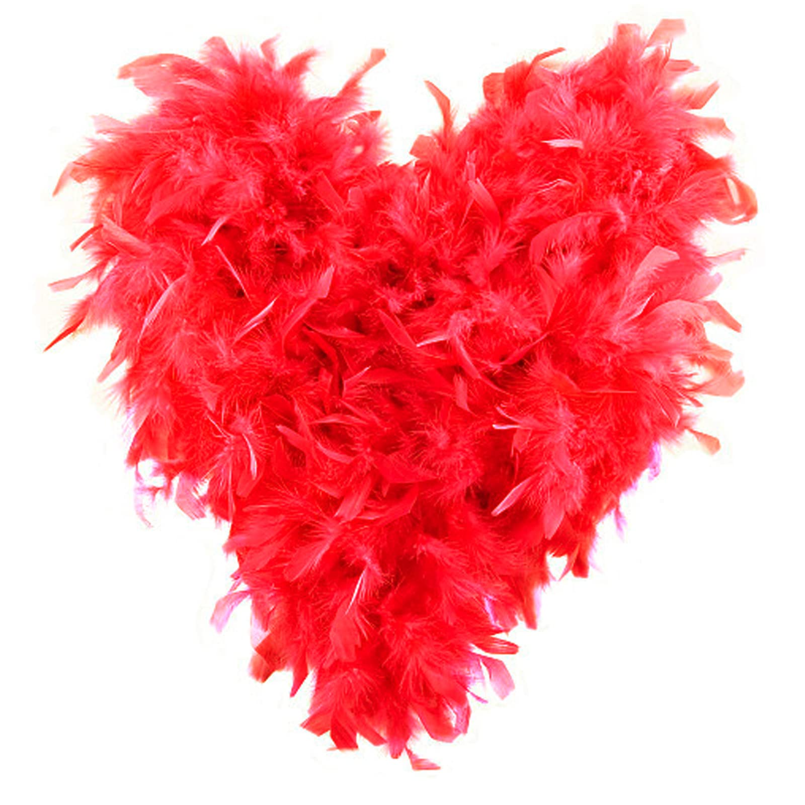 Anjing 2 Pcs Feather Boa for Women 2M Feather Boas for Crafts Party Supplies Girls Dress up Costume Red
