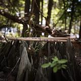 Vic Firth American Classic Terra 5AT Hickory Wood Tip 4 Pair Pack view 3