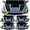 BENINI DESIGN STUDIO Hood Blackout Racing Stripes Vinyl Decal Sticker Kit- Compatible with Ford F150 Raptor 2014-2020 (Style 4, Red)