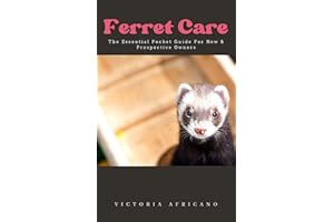Ferret Care: The Essential Pocket Guide For New & Prospective Ferret Owners