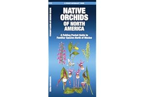 Native Orchids of North America