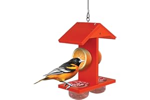 EcoCycle Citrus Sampler Recycled Plastic Orange & Jelly Oriole Bird Feeder for Wild Birds and Outdoor Décor, Dual-Sided Feedi