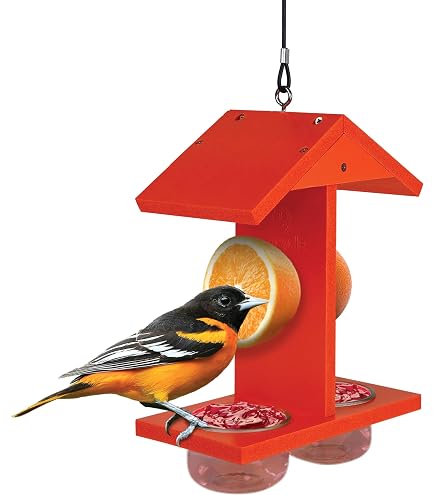 Birds Choice Oriole-Futterstation – Orange Kupfertassen Für Vogelliebhaber