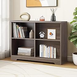 Airdown Bookcase with Open Adjustable