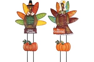 PHITRIC Thanksgiving Decorations Outdoor, 2 Packs Turkey Pumpkin Decorative Garden Stakes for Thanksgiving Decor, Metal Yard Art Sign Fall Thanksgiving Turkey Decor for Home Garden Lawn Patio