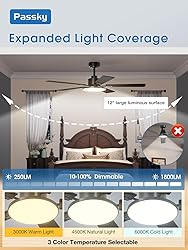 Passky Ceiling Fans with Lights, 52 inch Sleek
