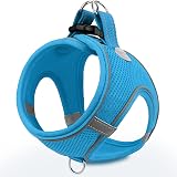 Joytale Step in Dog Harness Sky Blue XXXS Soft Mesh Reflective Easy Walk