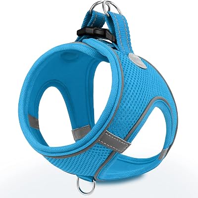 Joytale Step in Dog Harness Soft Mesh Reflective Breathable M S Sky Blue