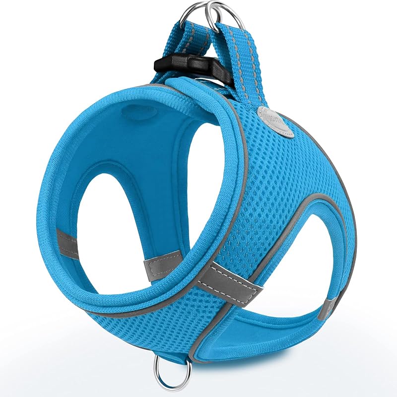 Joytale Step in Dog Harness Soft Mesh Reflective Easy Walk Harness Sky Blue