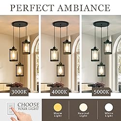 Osimir 3-Light Pendant Lighting, Black Dining Room