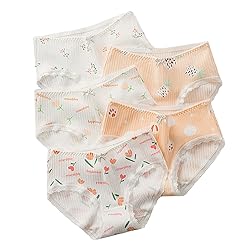 SINMIUANIME Women's Panties Anime Print Underwear