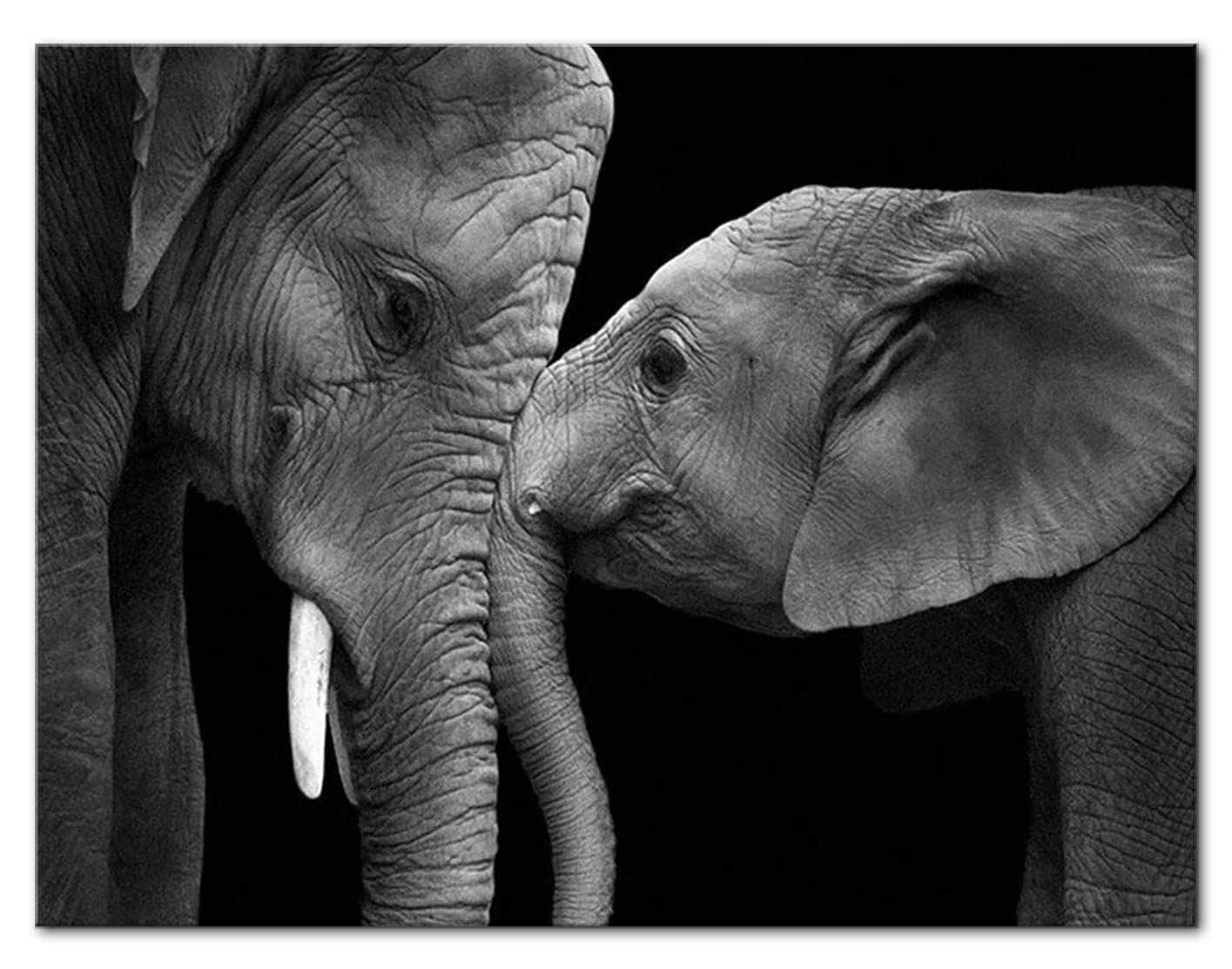 Shukqueen Paint by Number, DIY Oil Painting for Adults, Beginner's, 16X20 Inch, Frameless