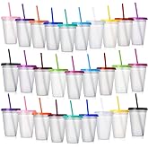 Hsei Reusable Plastic Tumbler with Straw and Lid Bulk -clear Plastic Cups with Lid and Straw for Iced Coffee Water Smoothie Water Bottle Travel Mug Cup for Birthday Party Gifts(28 Pack,16 oz)