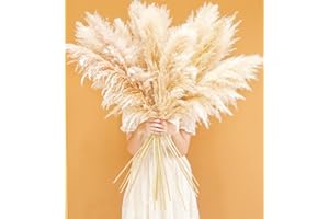 BANNIFLL 46" inch 10 Stems Natural Pampas Grass Decor Tall, Pompas Grass, Tall Pampas Grass for Weddingm, Farmhouse, Boho Home Decor (Beige)