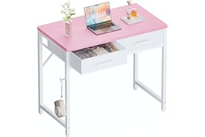 Pamray 32 Inch Small Computer Desk with 2 Drawers for Bedroom Study Writing Home Office Table for Small Spaces Pink