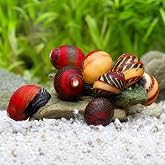 Swimming Creatures&trade; Assorted Red-Racer Nerite Snail, Freshwater Aquarium Snail Live (3count)