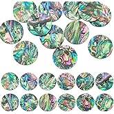 WADORN 12pcs 19mm Natural Abalone Shell Cabochon, Loose Gemstone Round Paua Shell Charms for DIY Jewelry Making Single-Sided Abalone Shells Cabochon for Bracelets Pendants Necklace DIY Crafts