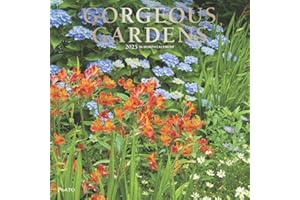 Gorgeous Gardens | 2025 12 x 24 Inch Monthly Square Wall Calendar | Foil Stamped Cover | Plato | Outdoor Home Country Nature