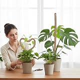 Mcbazel Moss Pole 2-Pack 60cm Bendable Coir Plant Support with Ties view 8