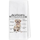 LKETW Funny Yellow Labrador Retriever Gifts Kitchen Towels, Yellow lab Gifts for Women, Labrador Lovers Hand Dish Towels for Women Men, Dog Anatomy Tea Towel Dog Room Decor for Home Kitchen Bathroom