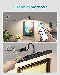 Dimmable Cordless Picture Light with Controller and