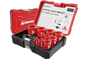 EZARC Hole Saw Kit, 16Pcs Bi-Metal Hole Saw Set with 3/4"-2-1/2"(19-64mm), Mandrels, Drill Bits, Installation Plate, Hex Key 