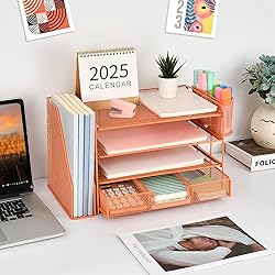 gianotter Paper Letter Tray Organizer with File