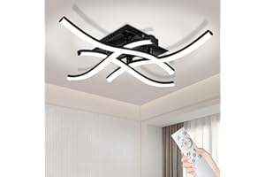 Duo Lu Tong 24W Modern LED Ceiling Light Fixture, 50CM Curved Wave Ceiling Lamp with Remote for Bedroom, Kitchen, Hallway, Fo