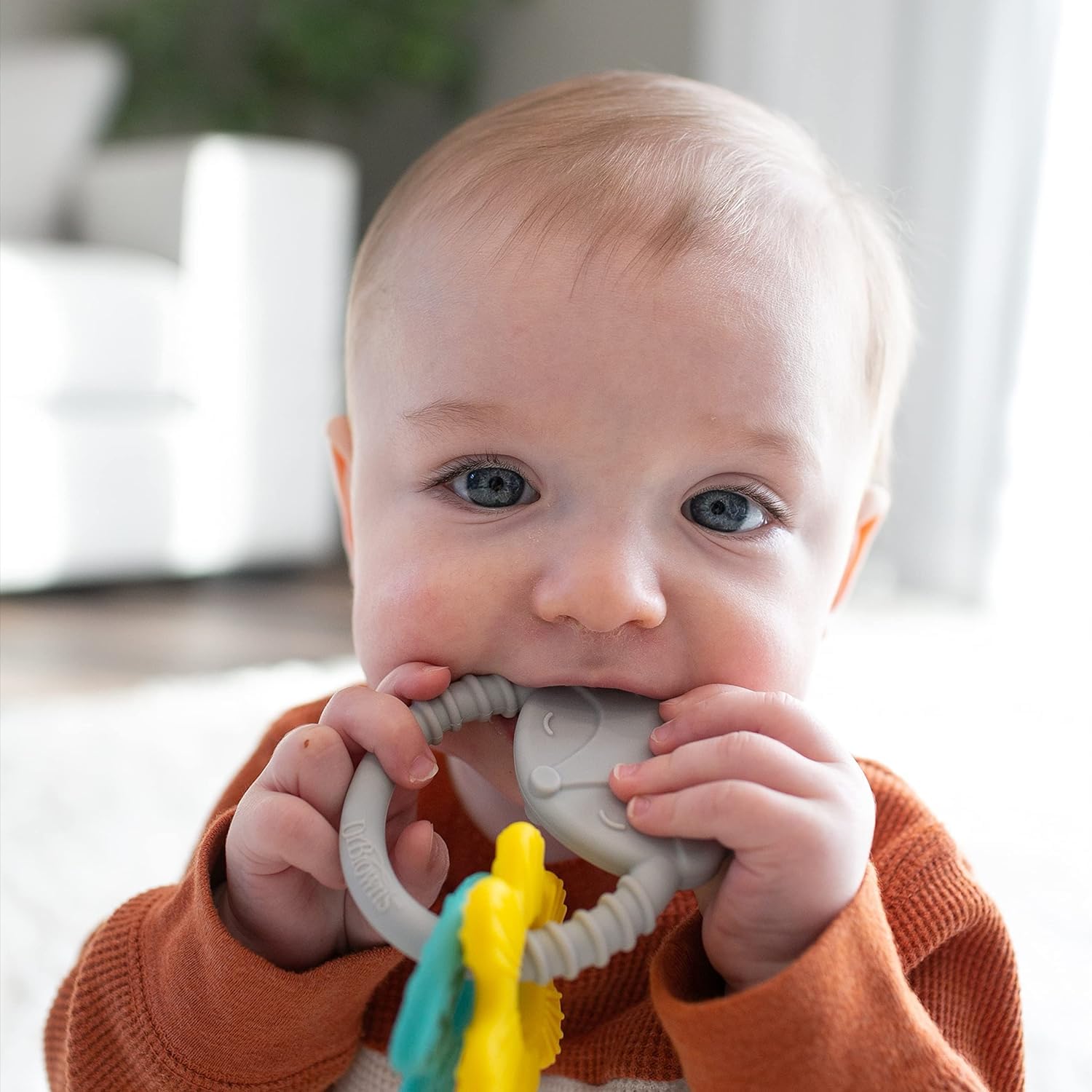 Dr. Brown’s Learning Loop Silicone Ring Teether, Fox - 3m+