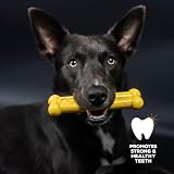 TastyBone Nylon Dog Chew Toy Small Chicken Indestructible UK Made view 5