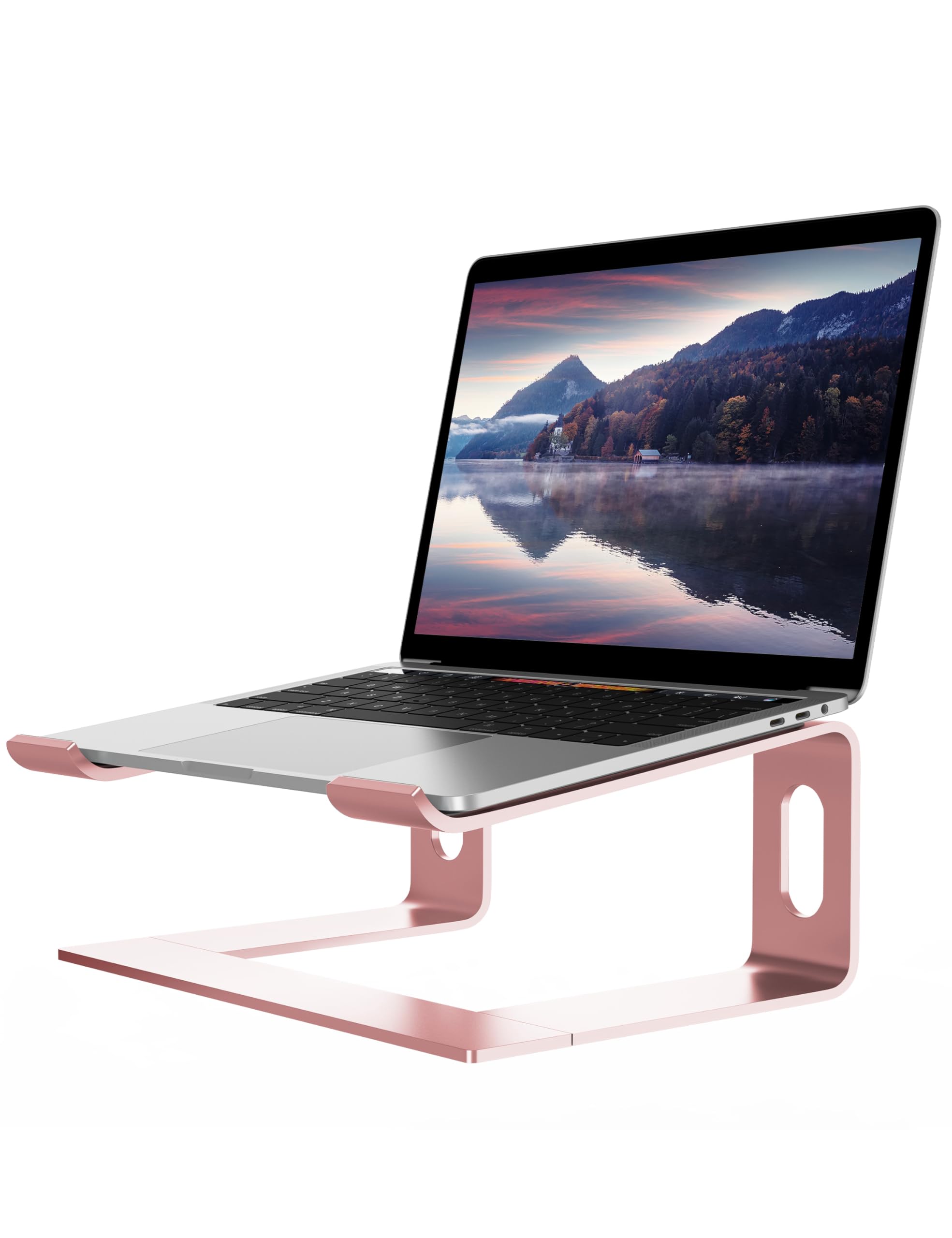 ALASHI Laptop Stand for Desk, Aluminum Computer Riser, Ergonomic Notebook Holder, Detachable Metal Laptops Elevator, PC Cooling Mount Support 10 to 15.6 Inches Notebook, Pink